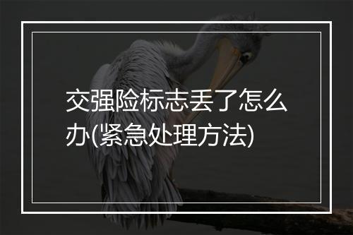 交强险标志丢了怎么办(紧急处理方法)