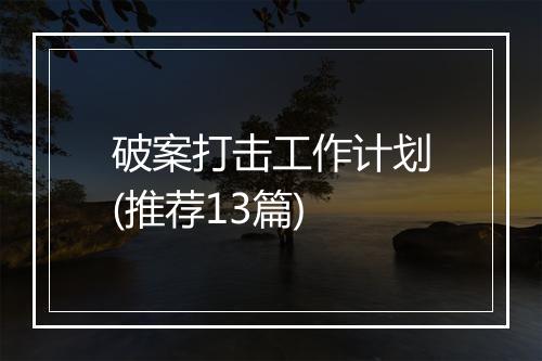 破案打击工作计划(推荐13篇)