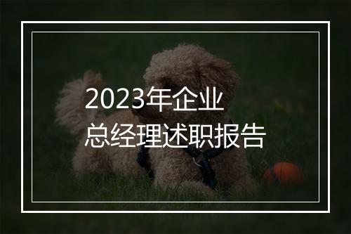 2023年企业总经理述职报告