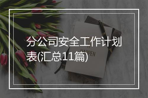分公司安全工作计划表(汇总11篇)