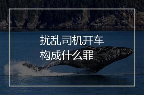 扰乱司机开车构成什么罪
