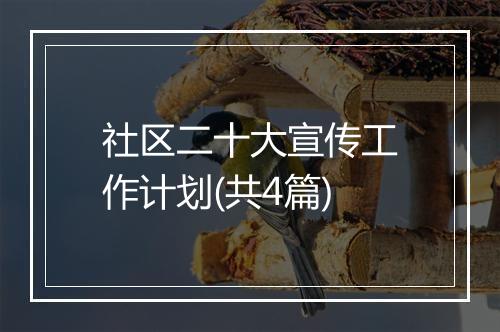 社区二十大宣传工作计划(共4篇)