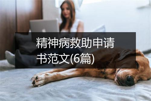 精神病救助申请书范文(6篇)