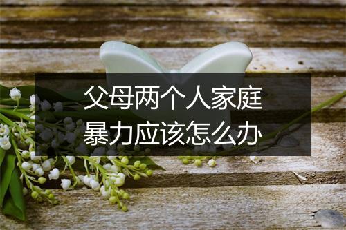 父母两个人家庭暴力应该怎么办