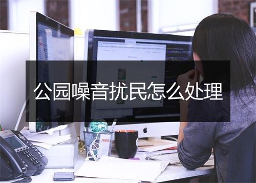 公园噪音扰民怎么处理