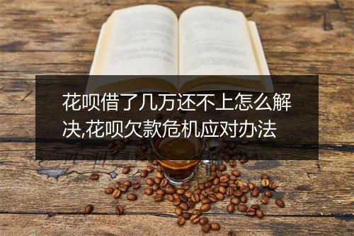 花呗借了几万还不上怎么解决,花呗欠款危机应对办法