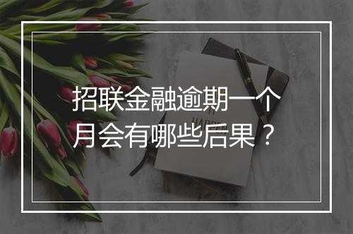招联金融逾期一个月会有哪些后果？