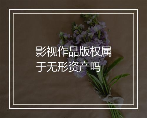 影视作品版权属于无形资产吗