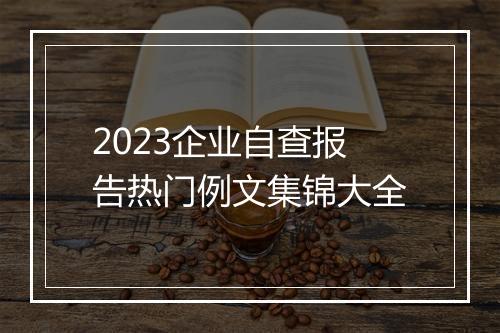 2023企业自查报告热门例文集锦大全