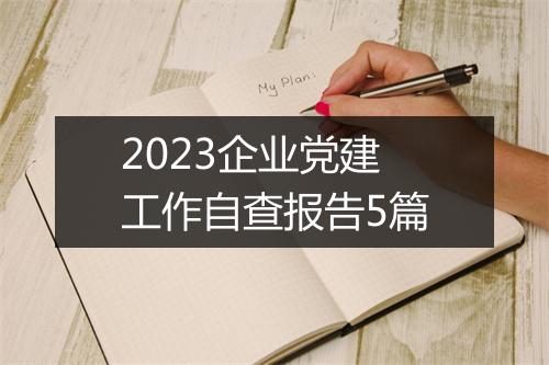 2023企业党建工作自查报告5篇