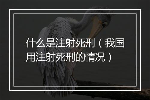 什么是注射死刑（我国用注射死刑的情况）