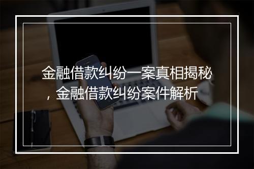 金融借款纠纷一案真相揭秘，金融借款纠纷案件解析