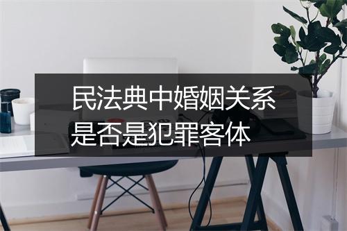 民法典中婚姻关系是否是犯罪客体