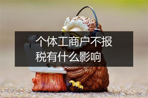 个体工商户不报税有什么影响