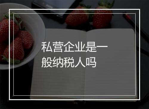 私营企业是一般纳税人吗