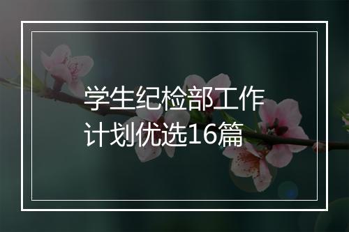 学生纪检部工作计划优选16篇