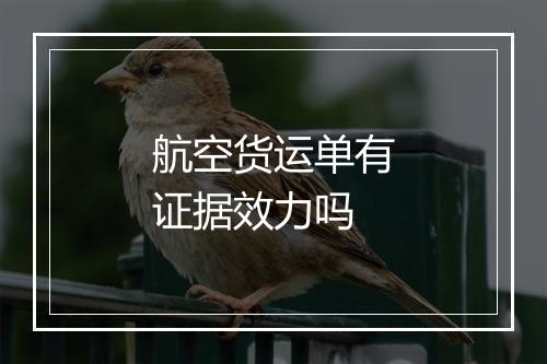 航空货运单有证据效力吗