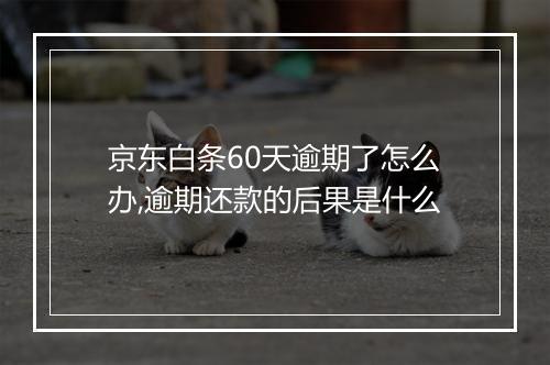 京东白条60天逾期了怎么办,逾期还款的后果是什么