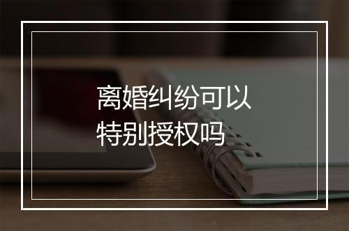 离婚纠纷可以特别授权吗