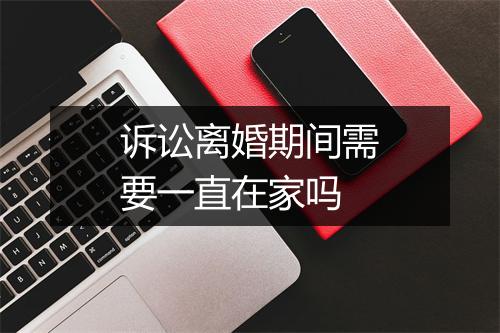 诉讼离婚期间需要一直在家吗