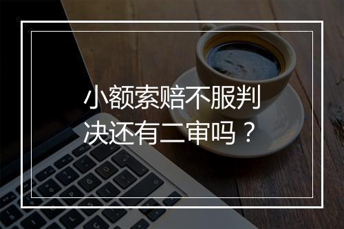 小额索赔不服判决还有二审吗？