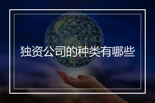 独资公司的种类有哪些