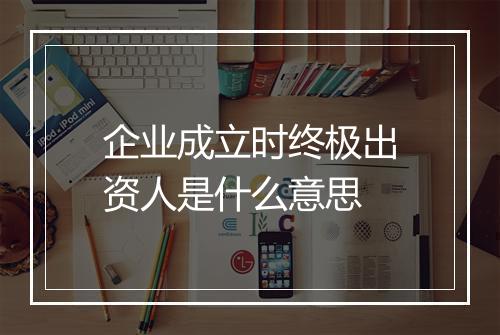 企业成立时终极出资人是什么意思