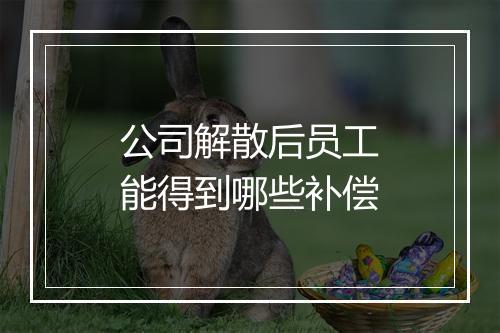 公司解散后员工能得到哪些补偿