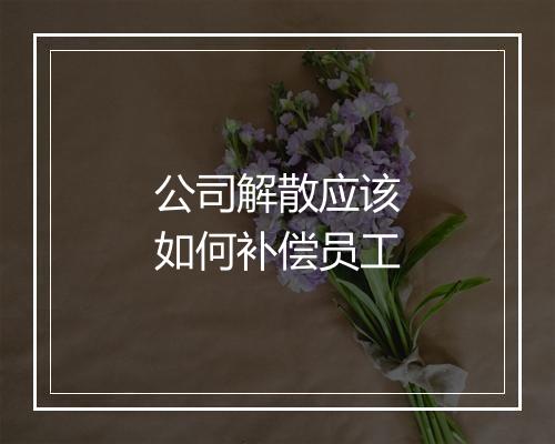 公司解散应该如何补偿员工