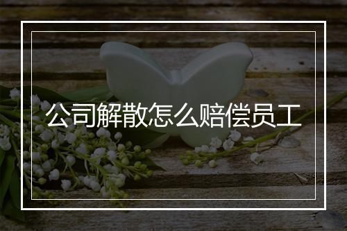 公司解散怎么赔偿员工