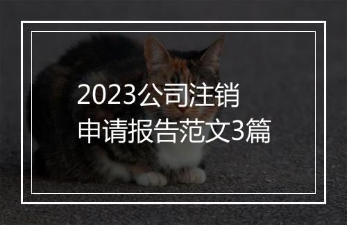 2023公司注销申请报告范文3篇