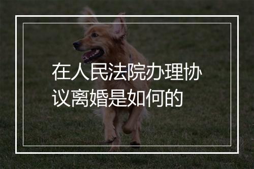 在人民法院办理协议离婚是如何的