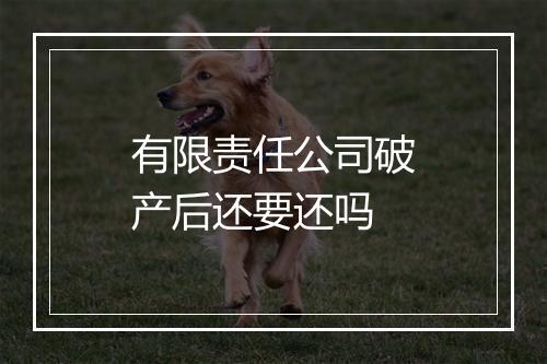 有限责任公司破产后还要还吗