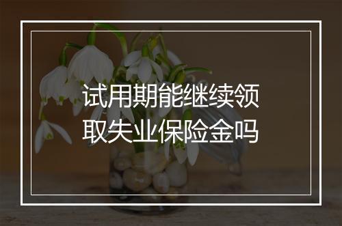 试用期能继续领取失业保险金吗