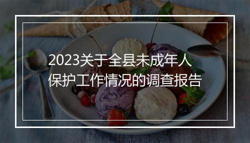 2023关于全县未成年人保护工作情况的调查报告