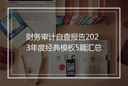财务审计自查报告2023年度经典模板5篇汇总