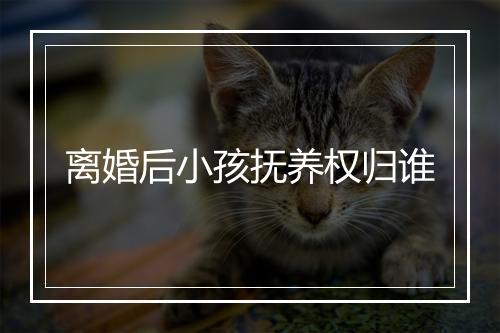 离婚后小孩抚养权归谁