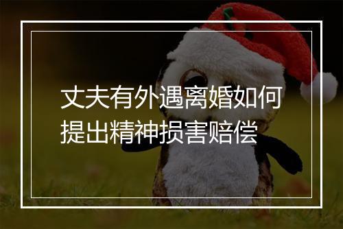 丈夫有外遇离婚如何提出精神损害赔偿