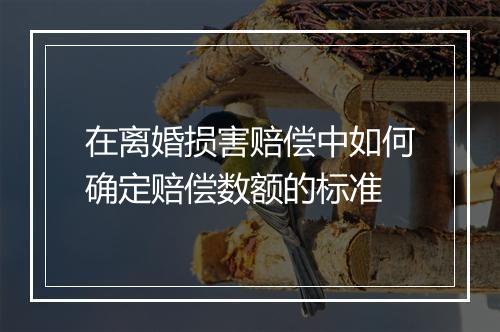 在离婚损害赔偿中如何确定赔偿数额的标准