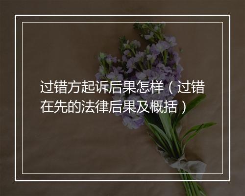 过错方起诉后果怎样（过错在先的法律后果及概括）