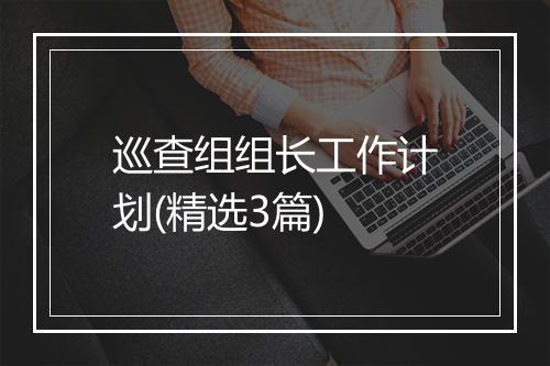 巡查组组长工作计划(精选3篇)