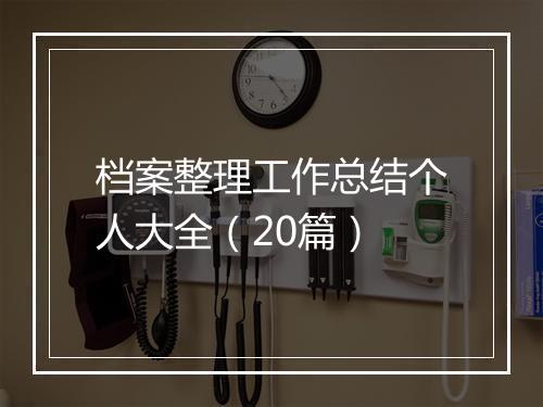 档案整理工作总结个人大全（20篇）