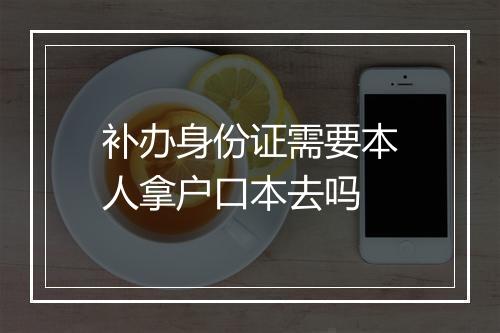 补办身份证需要本人拿户口本去吗
