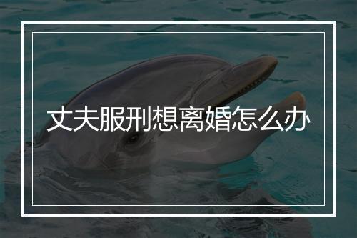 丈夫服刑想离婚怎么办
