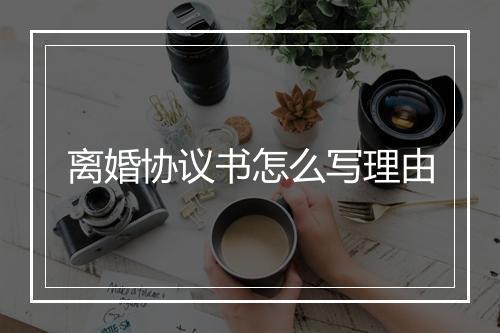 离婚协议书怎么写理由