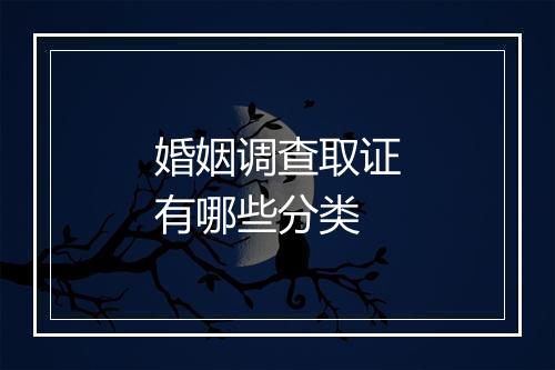 婚姻调查取证有哪些分类