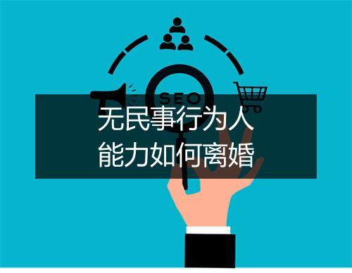 无民事行为人能力如何离婚