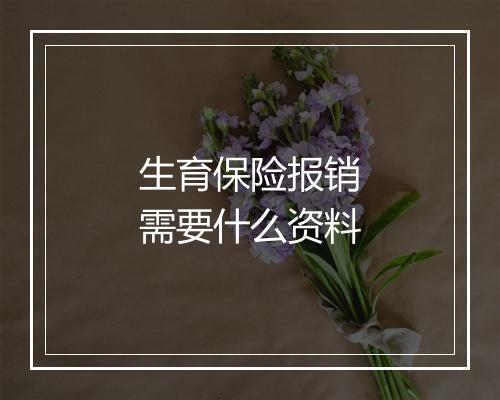 生育保险报销需要什么资料