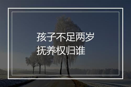 孩子不足两岁抚养权归谁