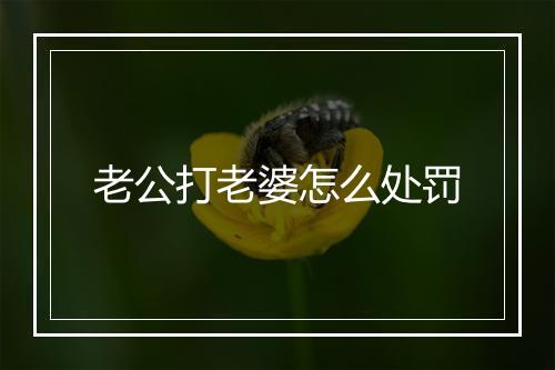 老公打老婆怎么处罚